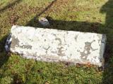 image of grave number 950055